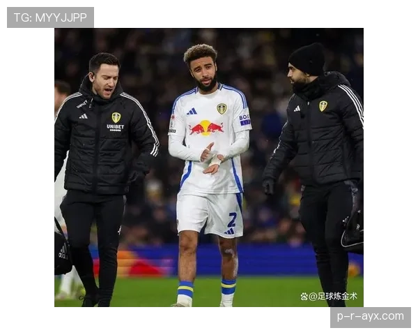 利兹联新赛季转会蓝图曝光:精明投资瞄准升超关键拼图