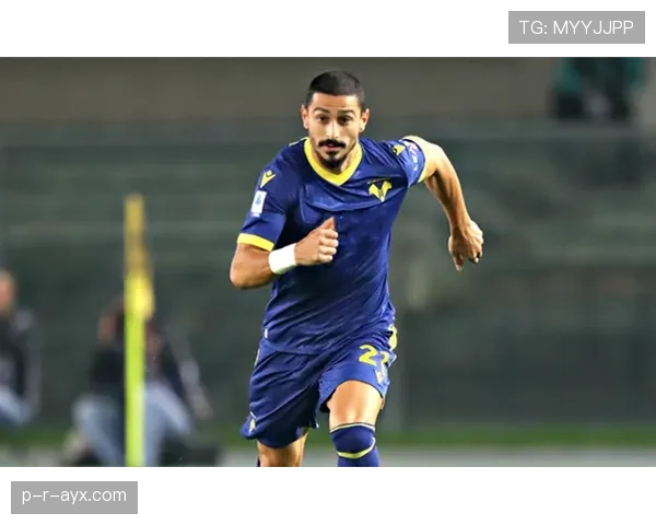 维罗纳防线稳如磐石：防守数据领跑意甲，球队状态强势回暖