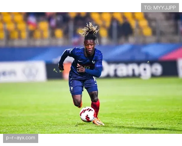 卡马文加在法国队的战术角色与能力争议解析